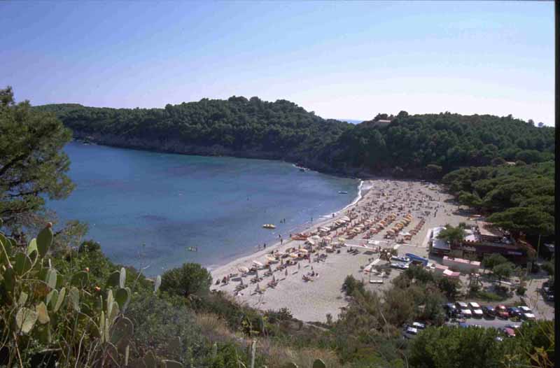 Elba 